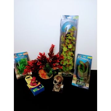 Aquarium pakket klein 1