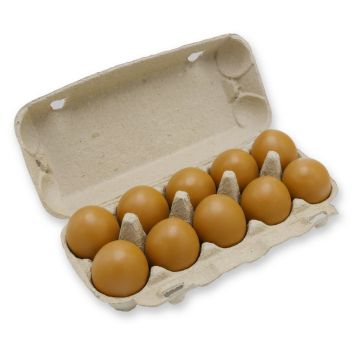 Eierdoos voor 10 Jumbo eieren