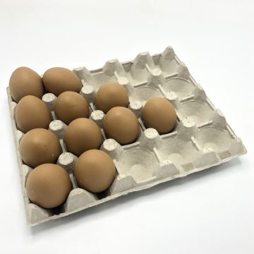 Eiertray voor 20 Eieren Groen