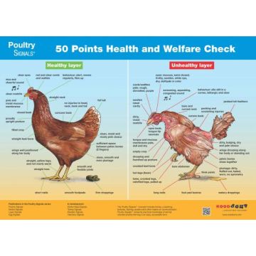 poster 50 points health and welfare check