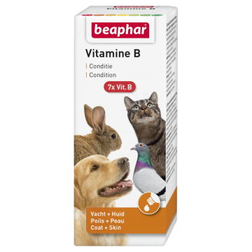 Vitamine B 50ml