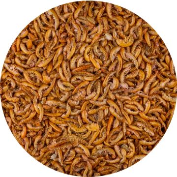 Vlokreeftjes Grootverpakking 10KG