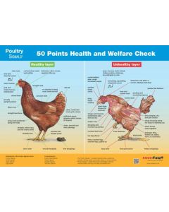 poster 50 points health and welfare check