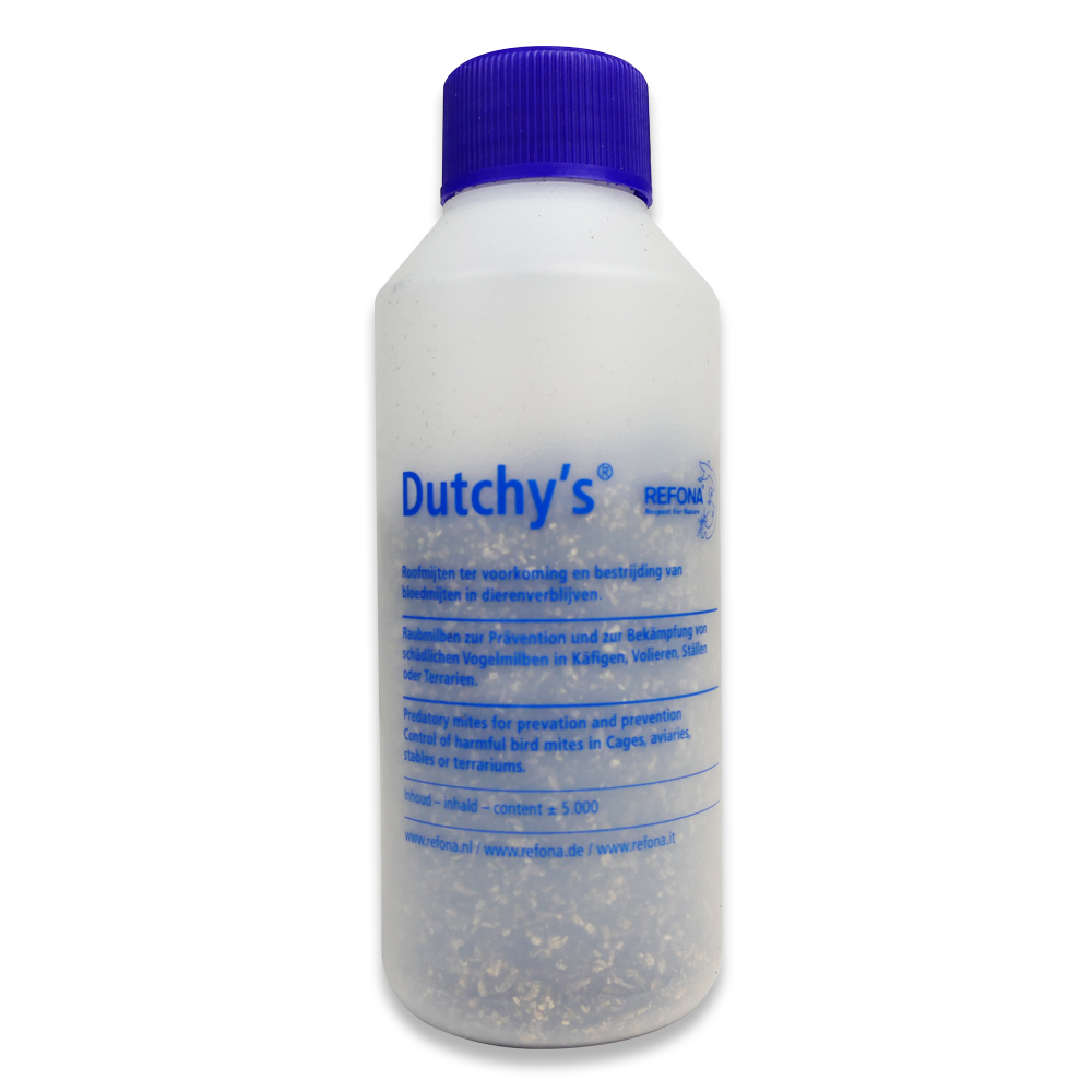 Dutchy's 5.000