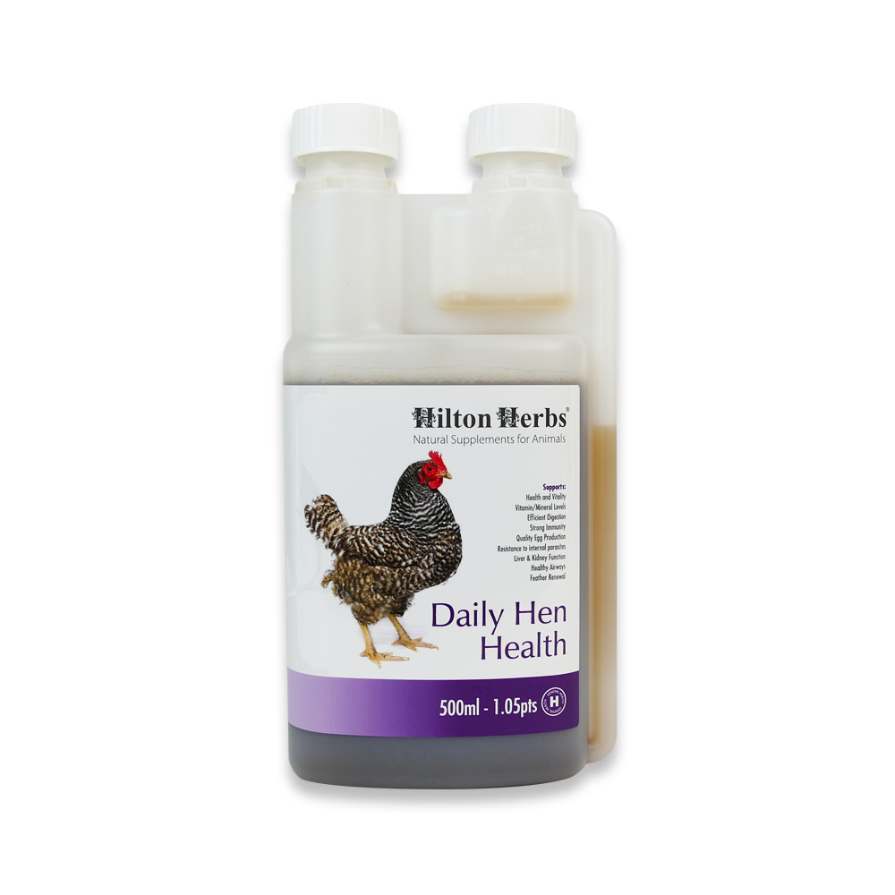 Hilton Herbs Vitamines 500ml Hilton Herbs Vitamines 500ml