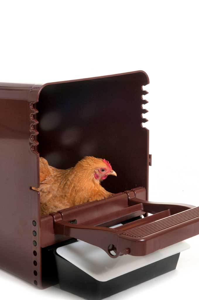 Legnest Chickbox Kunststof Bruin Legnest Chickbox Kunststof Bruin
