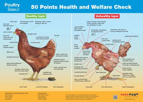 Poster: 50 points of healthcare check