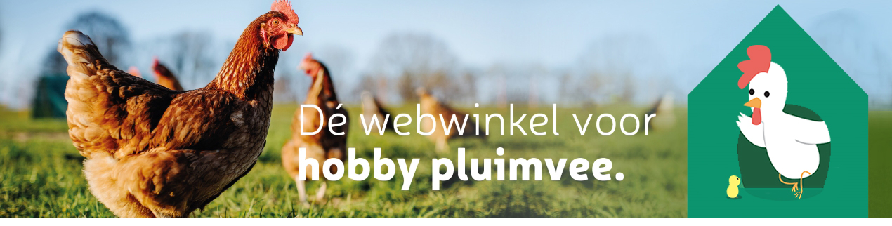 vroegrijp Dicht Spelen met Kippenhuis.nl - Kippen en pluimveespeciaalzaak